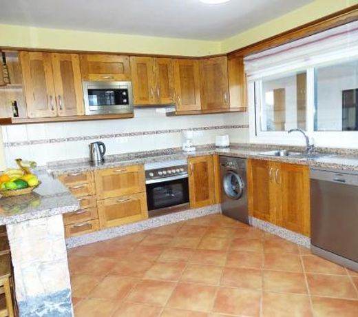 Finca Palmeras 1