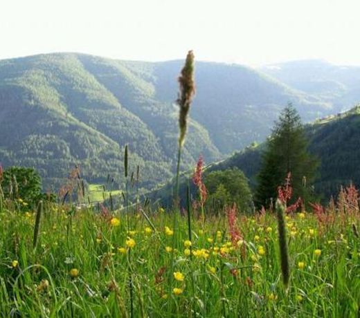 Obervostlhaus - Sehr schÃ¶ne gemutliche Almhutte der besonderen Art