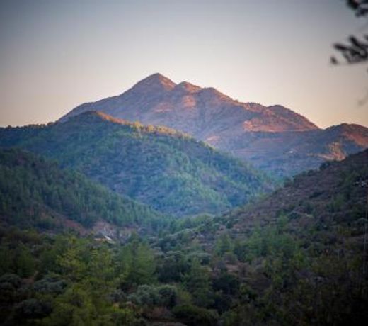 *2 bdr log house /mountains/Queen bed/fireplace
