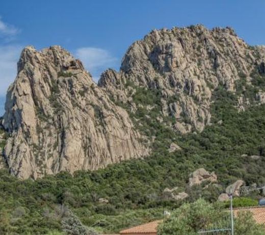 Piccola Petra Sarda