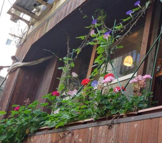 GardenRoom bnb Yumyum