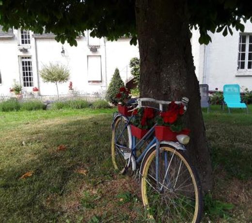 Chambres d'HÃ´tes de l'Ile du Saule