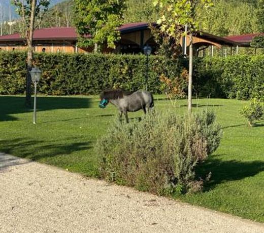 Family Farm Soc. Agr. a r.l.