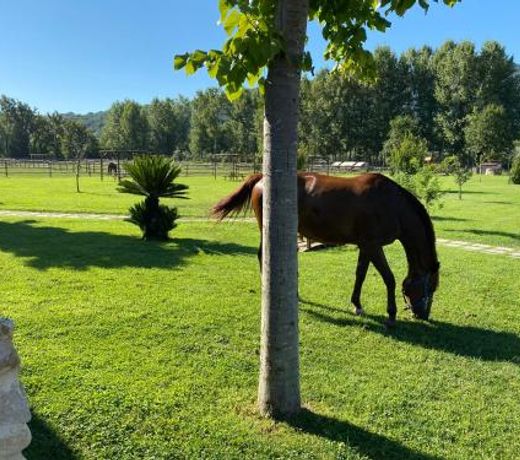 Family Farm Soc. Agr. a r.l.