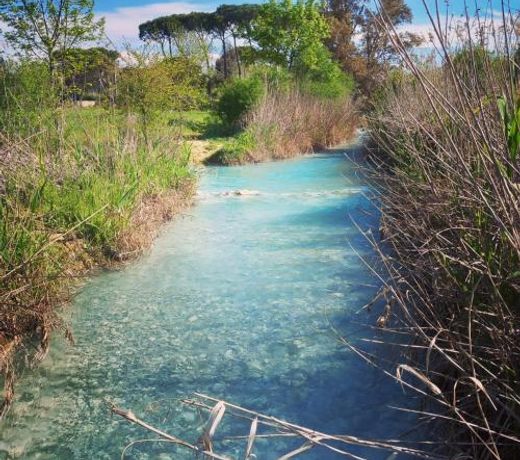 B&B Maremma's dream