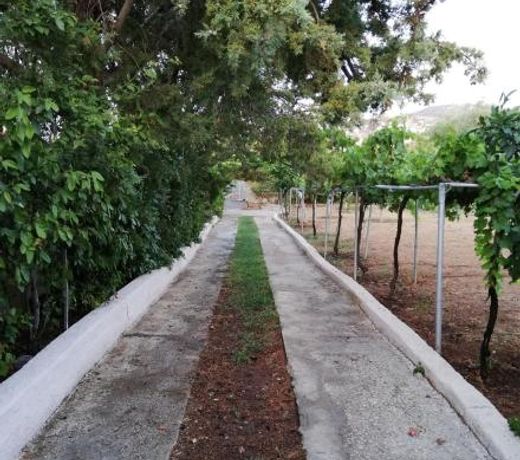 Dreamhome -10min from airport-