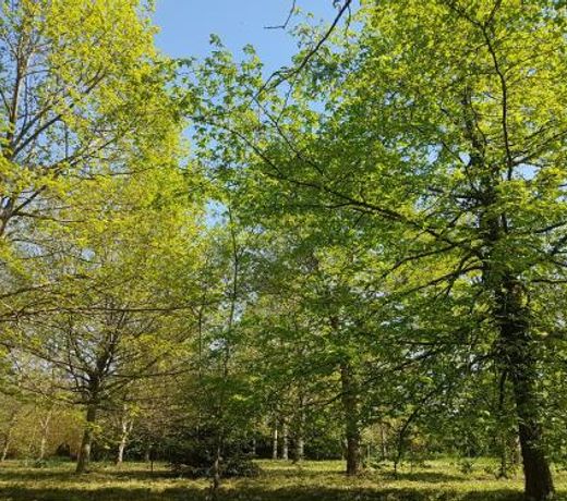 Le Cottage du Lutin Many 3 etoiles & son SPA privatif