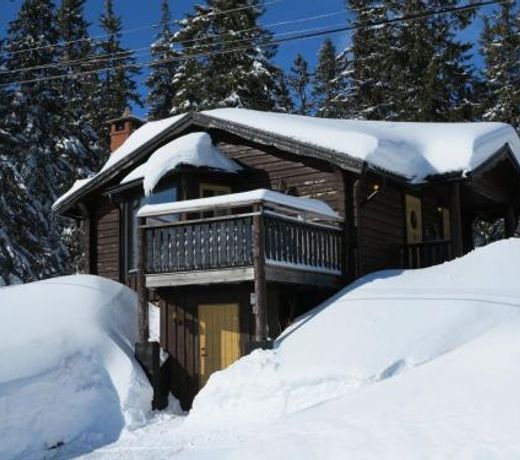 Chalet Korpstigen Renen - DAN074
