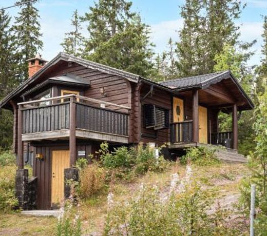 Chalet Korpstigen Renen - DAN074