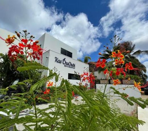 B&B Kas ChuChubi