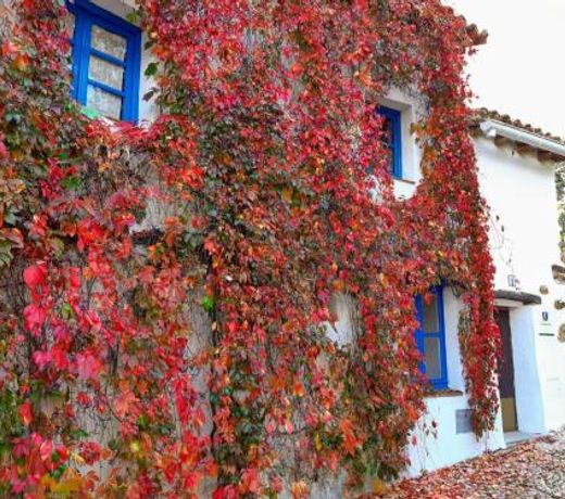 Casita Collado 1