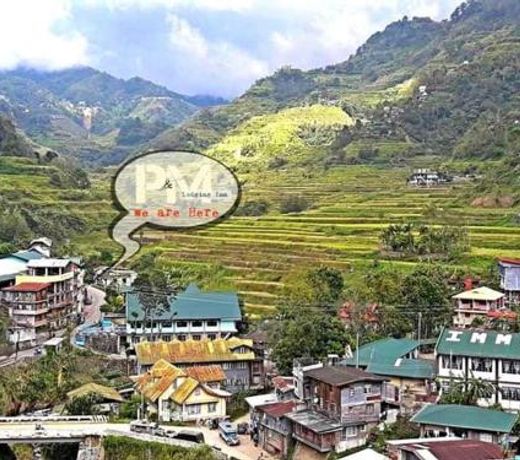 P&M homestay