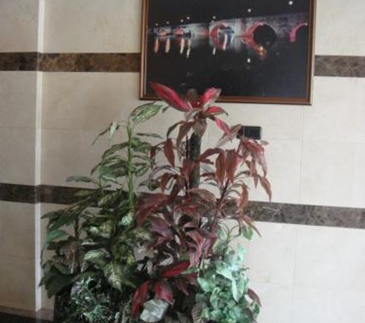 Hostal Serpol