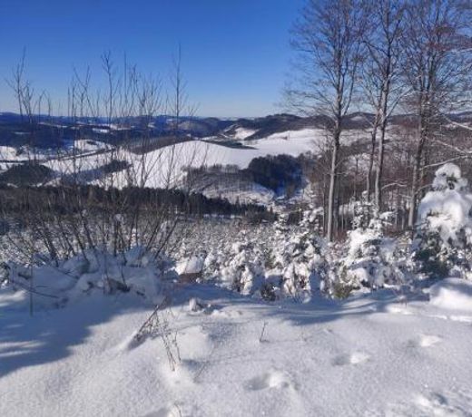 Gasthof Braun