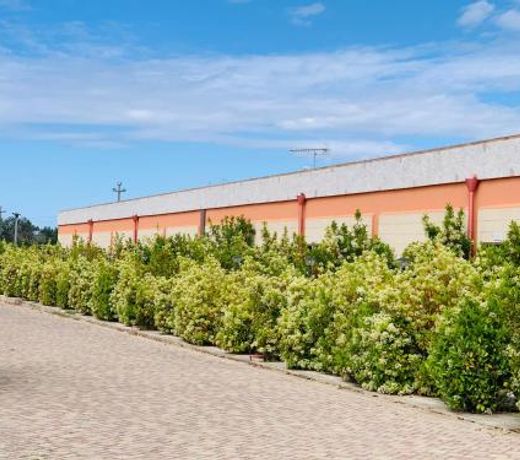 Agriturismo Tenuta Don Giovanni