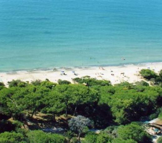 Villaggio Turistico Airone