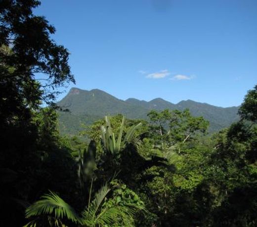 Mossman Gorge Bed and Breakfast