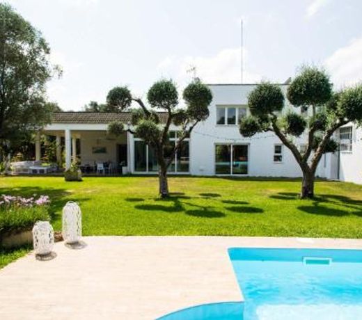 Luxury Villa Moruse