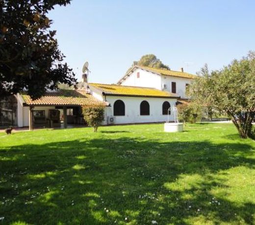 Tenuta di Vado Piano nella Selva di Circe