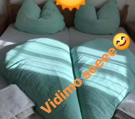 vidimo se