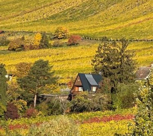Vacationhome in the vineyards