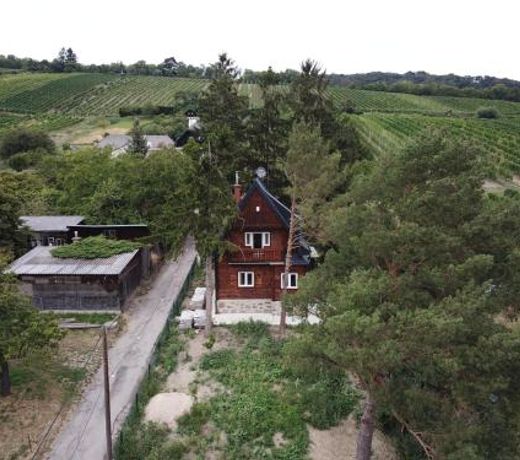 Vacationhome in the vineyards