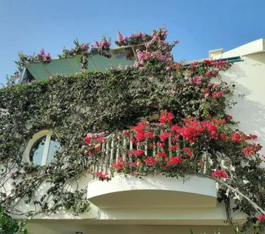 Beach penthouse with rooftopbar and Fiber WiFi, spectacular 180 degrees ocean view