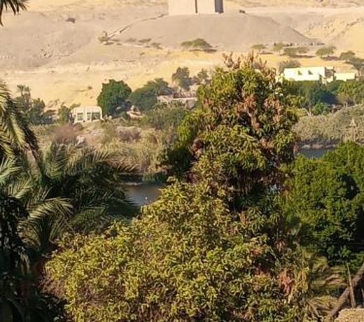 Cattleya Nubian Guest House