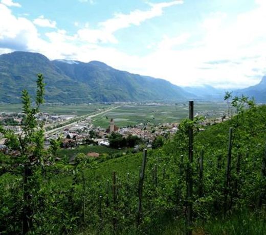Rochelehof
