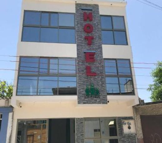 HOTEL LOS PINOS CENTRO