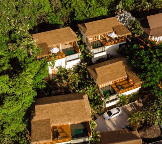 Wild Cottages Luxury and Natural