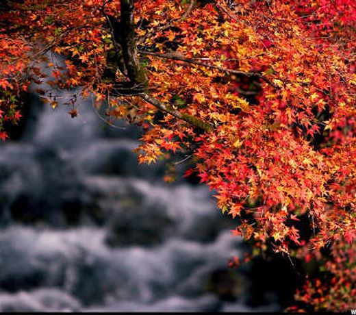 Totsugawa Onsen Seikyo no Yado Sansui