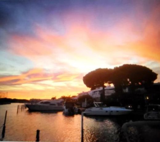 Marina Sunset