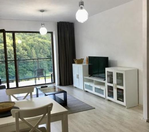 Nature View Apartment