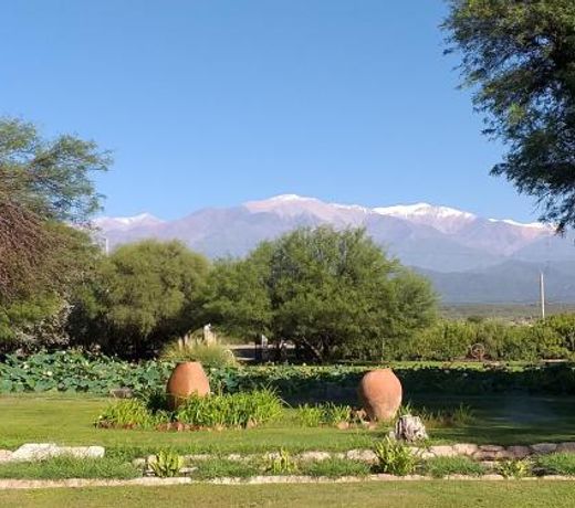 Estancia del Olivo