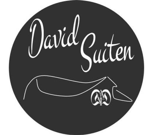 DAVID SUITEN