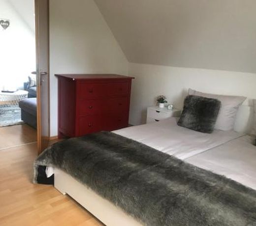Rheinau Apartment