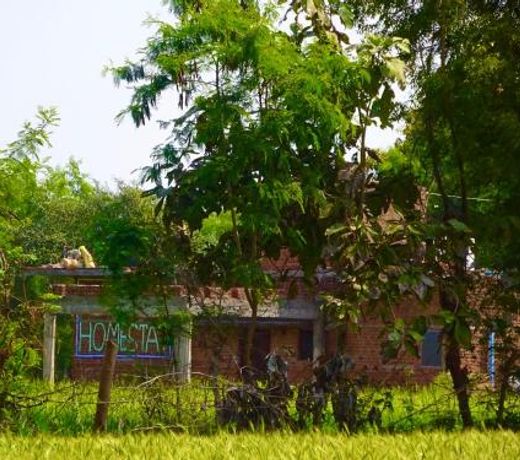 Maji Homestay Khajuraho