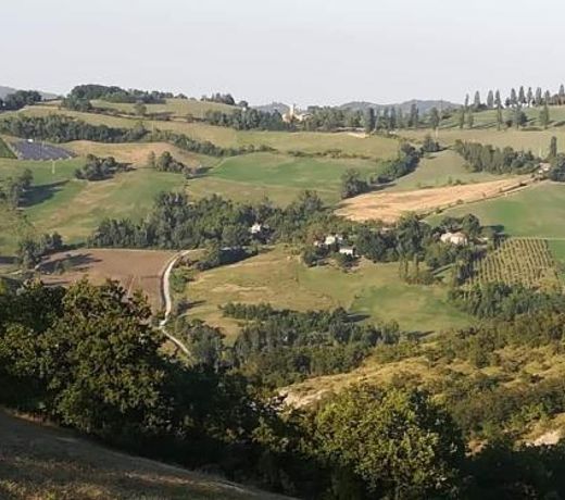 B&B I GIRASOLI