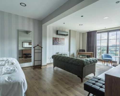 DM Suites Bosphorus - Стамбул - фото 21