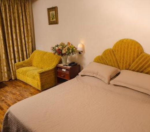 Hotel Pegasus Crown