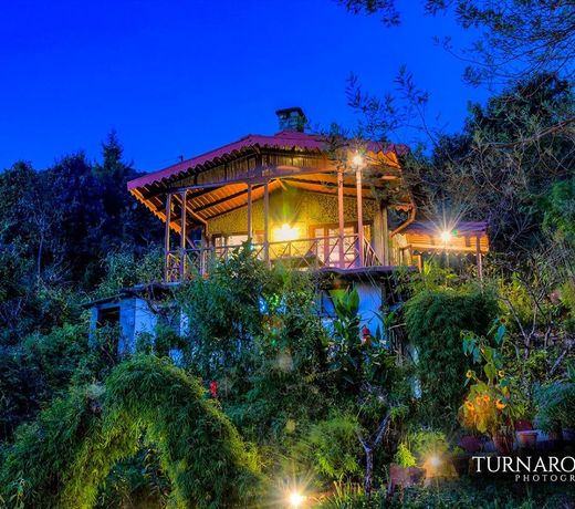 Jungle Lore Birding Lodge