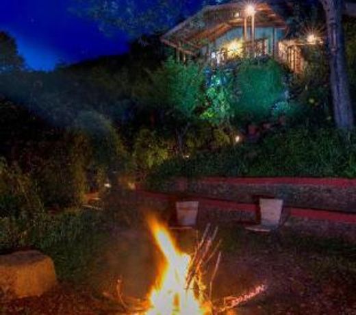 Jungle Lore Birding Lodge