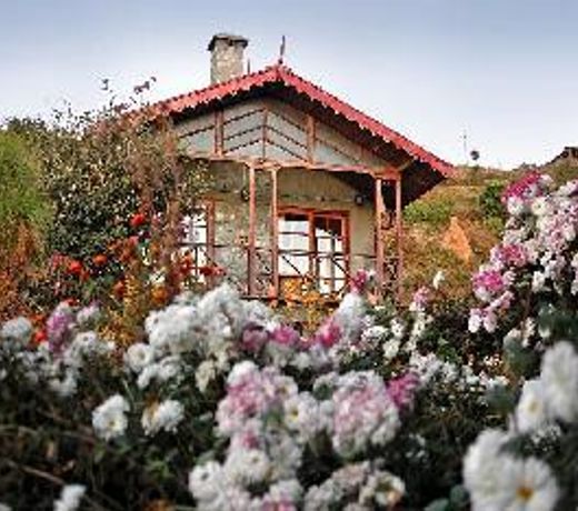Jungle Lore Birding Lodge