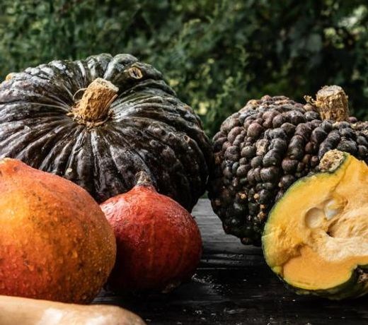 AGRITURISMO SAN MARTINO