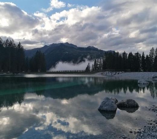 Chalet Golf Campiglio / LuxApt / fronte piste-impianti-golf