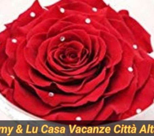 EMY & LU CASA VACANZA CITTA' ALTA
