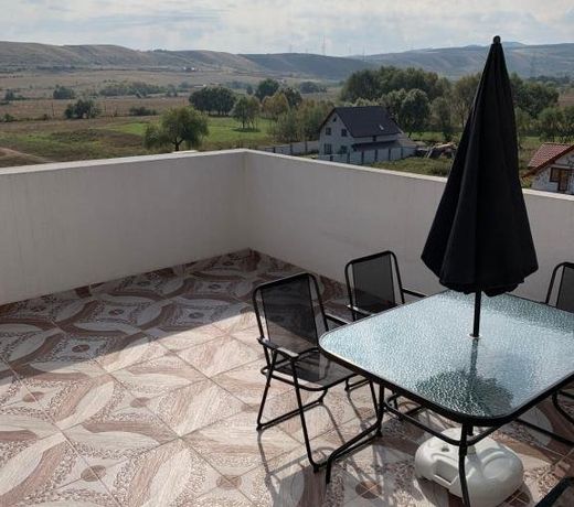 Apartament 23