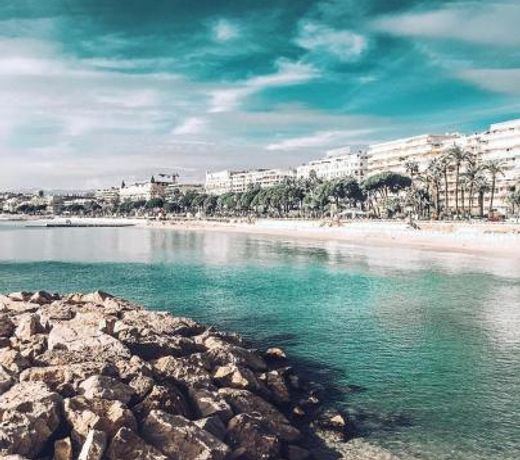 Blvd De La Croisette 82A, Cannes, La Reale