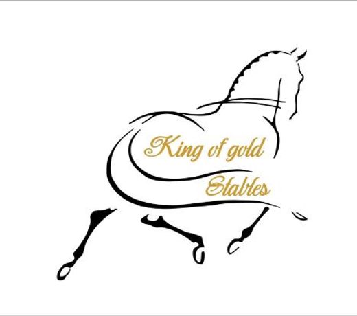 King of Gold Stables appartement met stalling voor 5 paarden